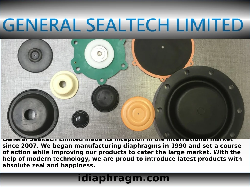 general sealtech limited made its inception