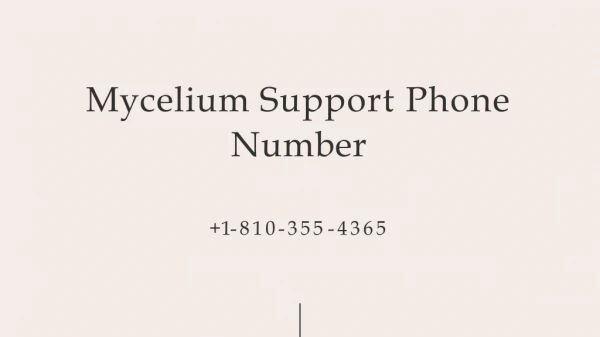Mycelium Support 1【(810)-355-4365】Phone Number
