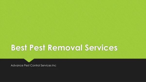 Best Pest Control Companies Westchester NY