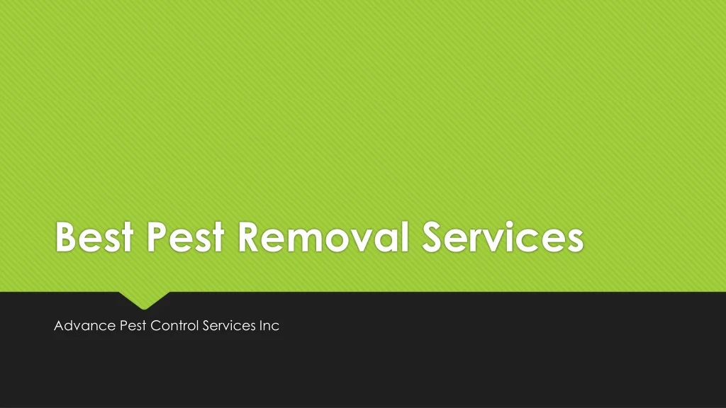 best pest removal services