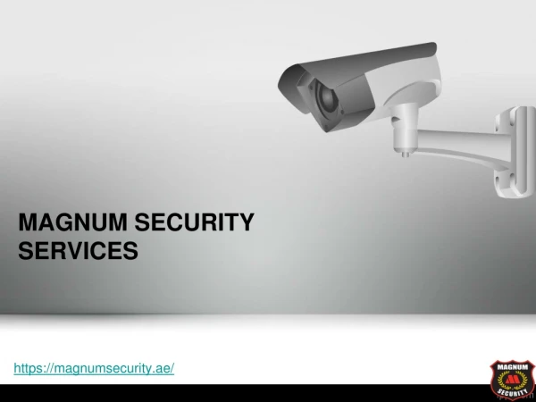 Security Consultants Dubai