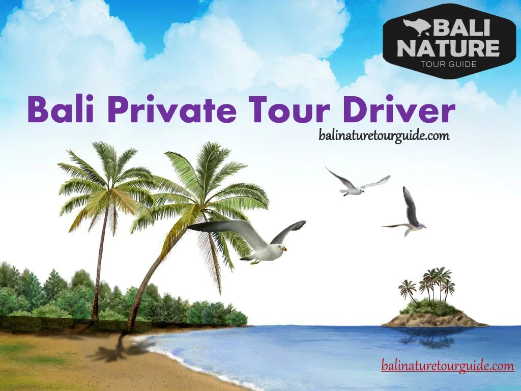 bali private tour driver