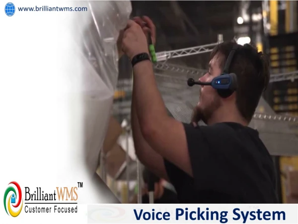 Voice Picking System
