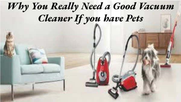 Why You Really Need a Good Vacuum Cleaner if You Have Pets