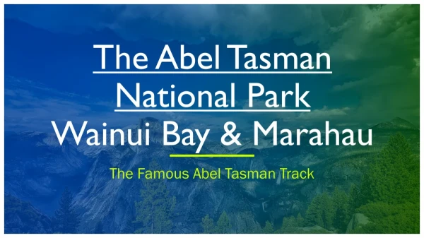 Track Transport & Guide about Abel Tasman, Wainui bay & Marahau