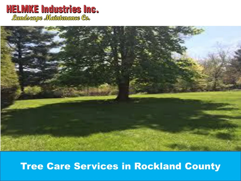 tree care services in rockland county