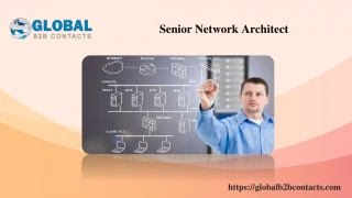 Senior Network Architect - slide 1