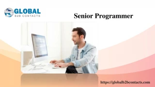 Senior Programmer - slide 1
