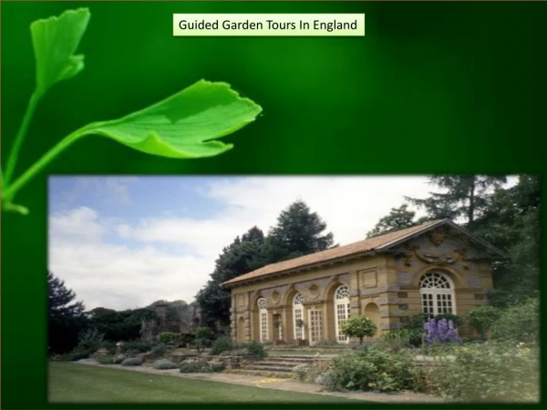 Guided Garden Tours in England