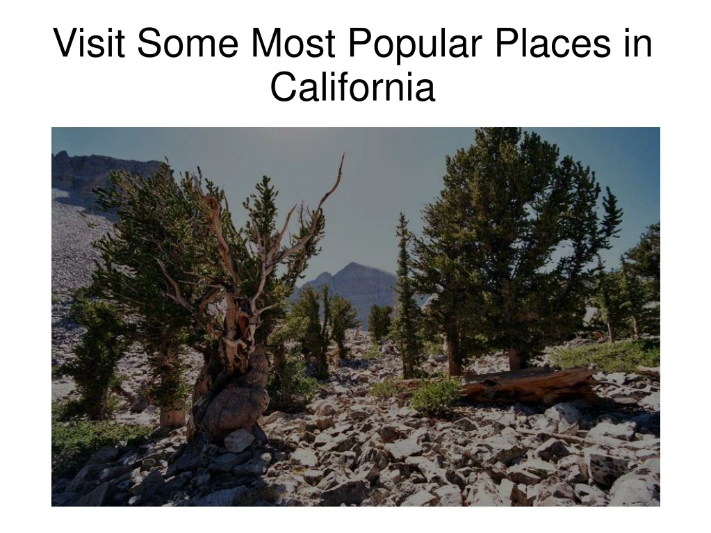 visit some most popular places in california