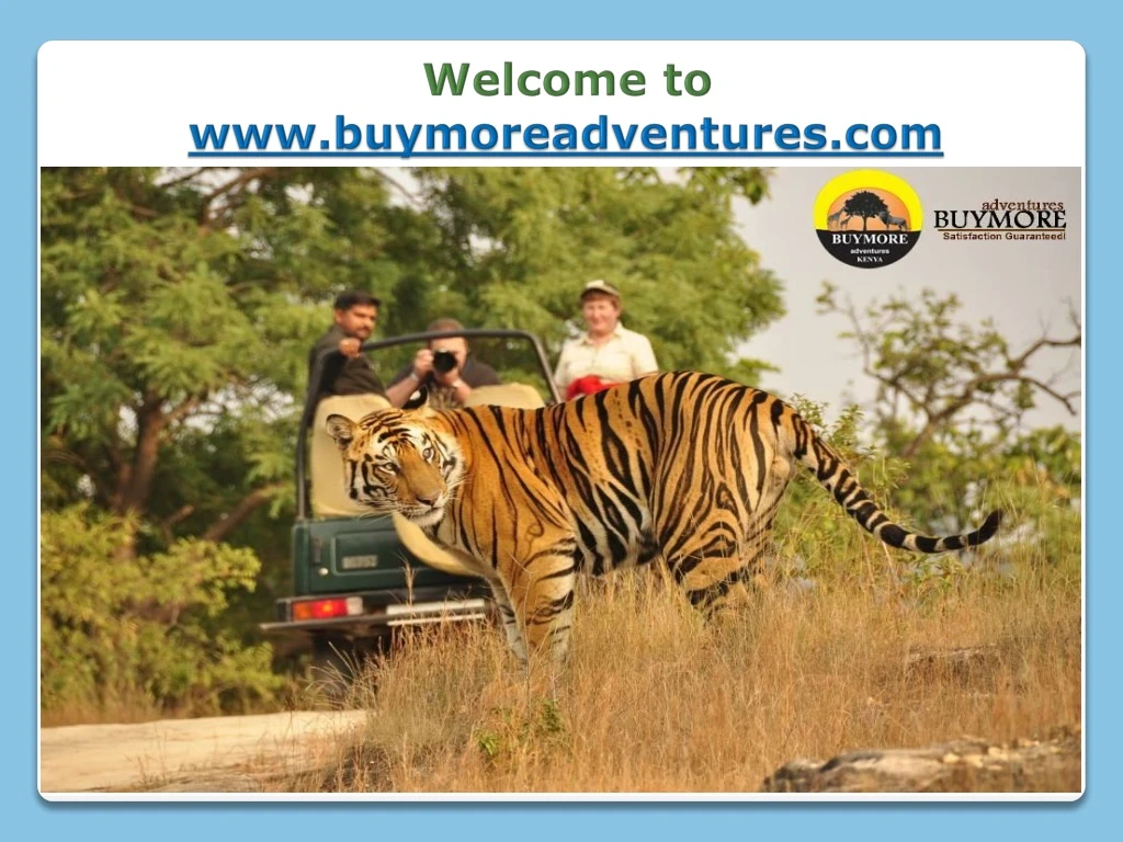 welcome to www buymoreadventures com