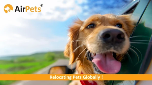 AirPets Relocation Services Pvt. Ltd.