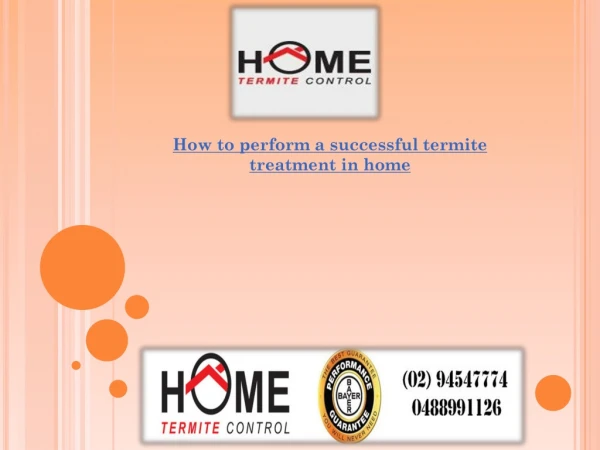 How to perform a successful termite treatment in home