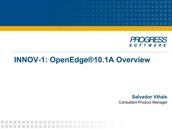 INNOV-1: OpenEdge 10.1A Overview