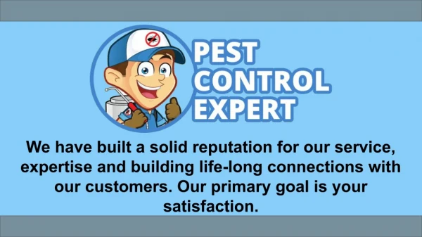 Affordable Pest Control Services - Pest Control Expert