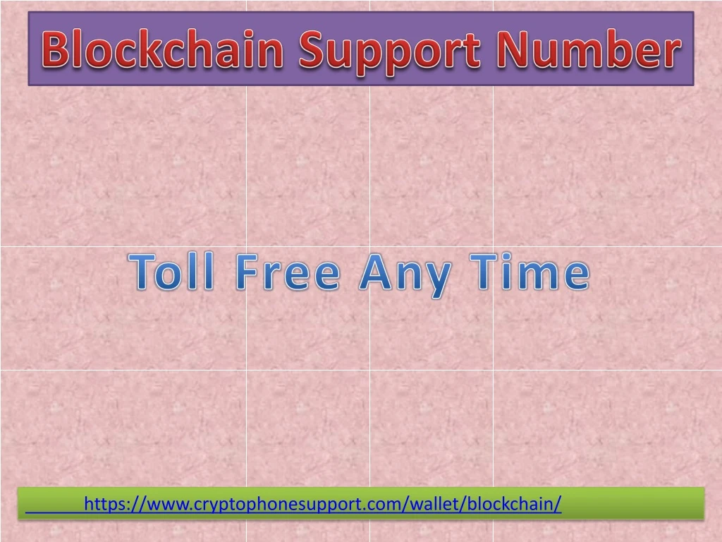 blockchain s upport number