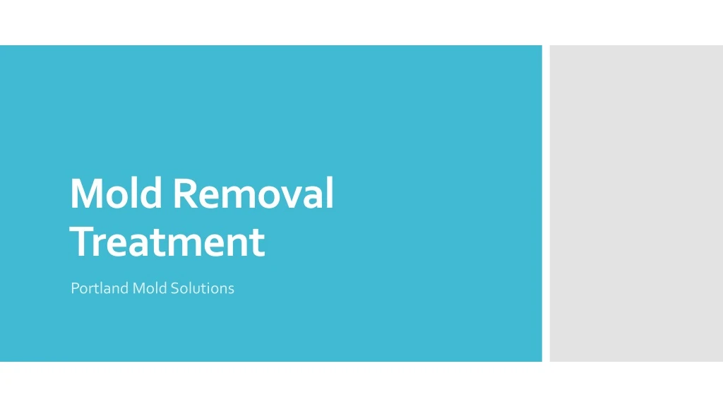 mold removal treatment