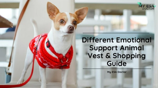 Different Emotional Support Animal Vest & Shopping Guide