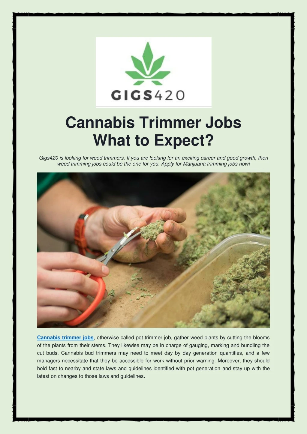 cannabis trimmer jobs what to expect gigs420