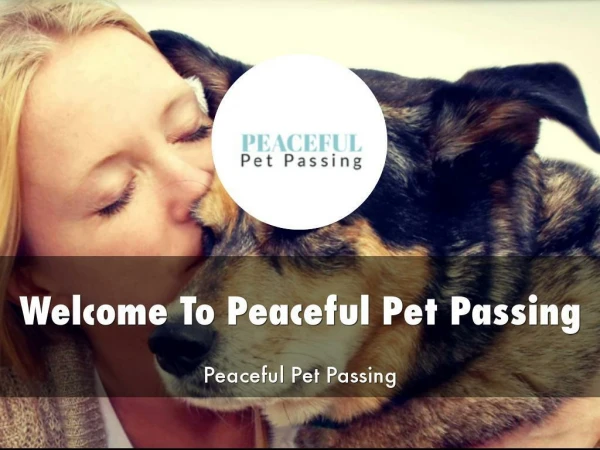 Detail Presentation About Peaceful Pet Passing