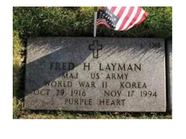 About Fred Layman