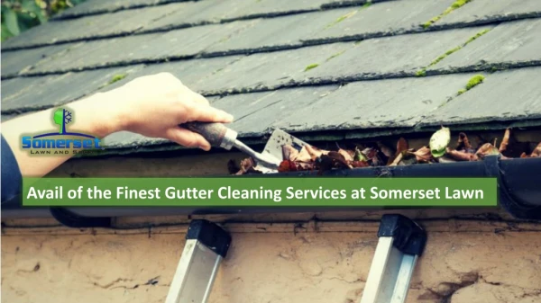 Avail of the Finest Gutter Cleaning Services at Somerset Lawn