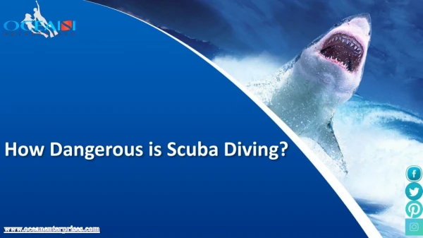The Dangers and Risks of Scuba Diving - and Best Tips to Avoid Them.