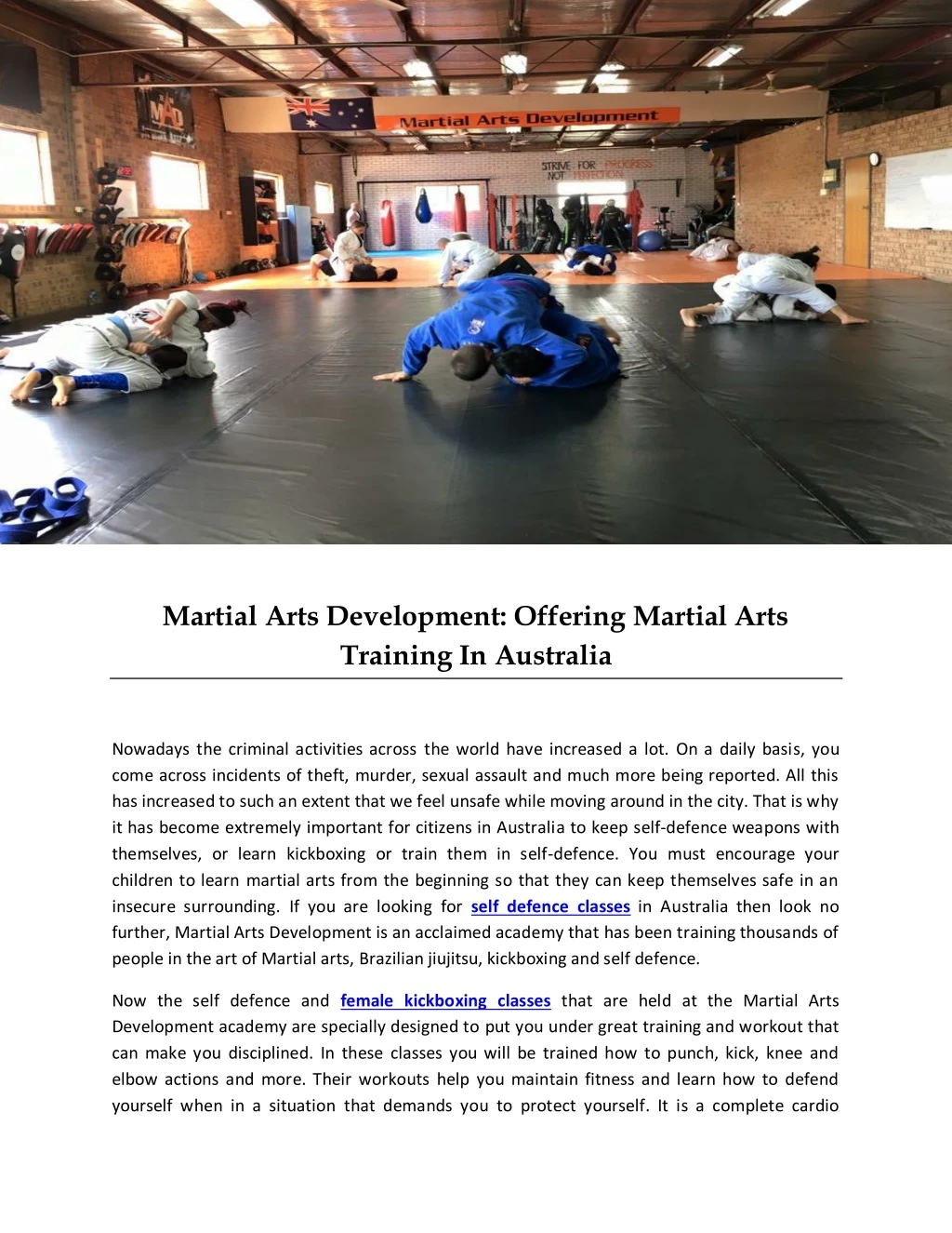 martial arts development offering martial arts