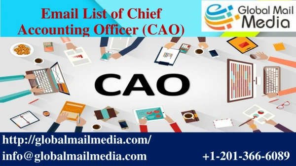 Email List of Chief Accounting Officer (CAO)