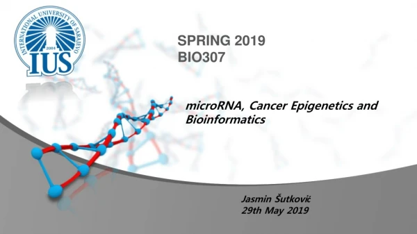 microRNA , Cancer Epigenetics and Bioinformatics