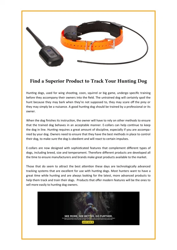 Find a Superior Product to Track Your Hunting Dog