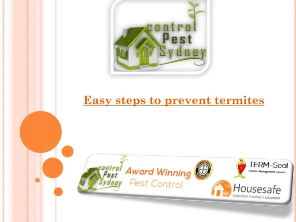 Easy steps to prevent termites