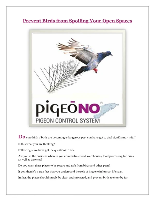 Get rid of pigeon damage with our best pigeon control methods| Pigeon spikes manufacturer