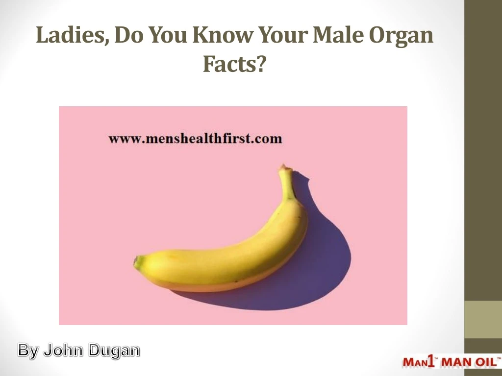ladies do you know your male organ facts