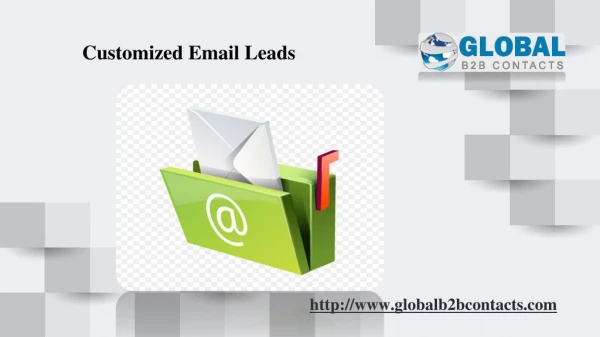 Customized Email Leads