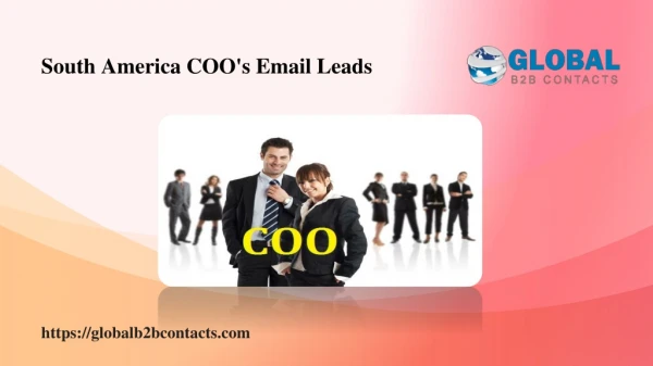 South America COO's Email Leads