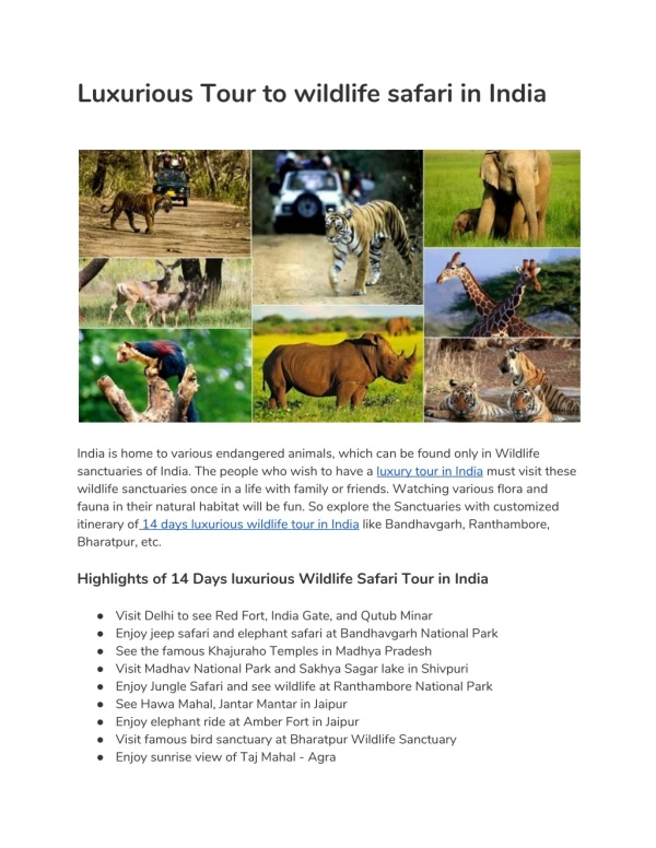 Luxurious Tour to wildlife safari in India
