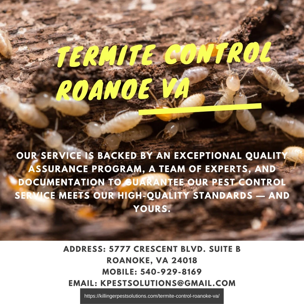 termite control roanoe va