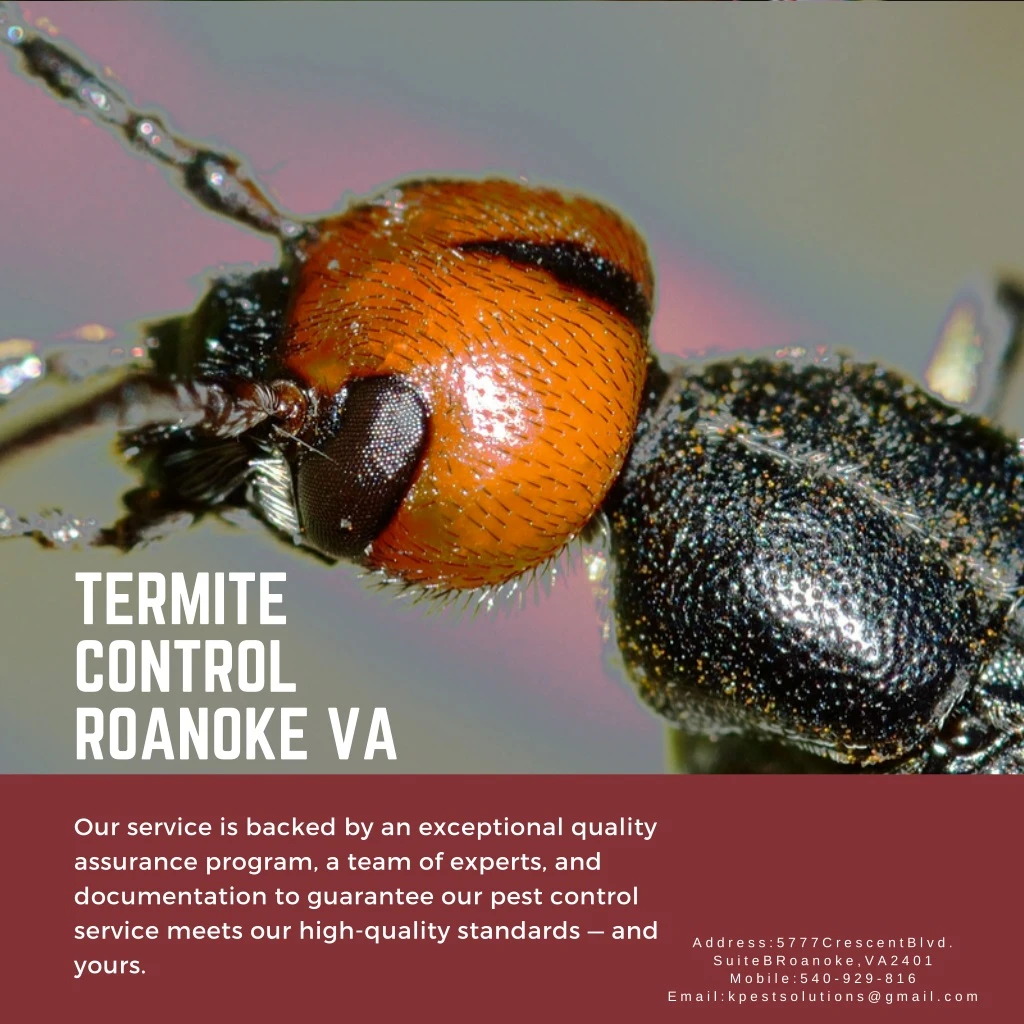 termite control roanoke va https
