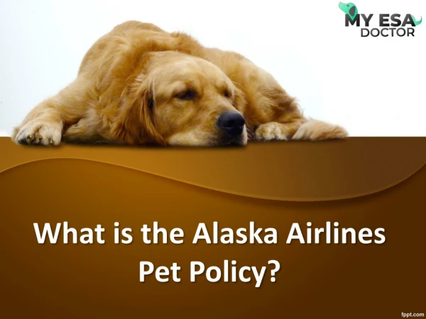 What is the Alaska Airlines Pet Policy?