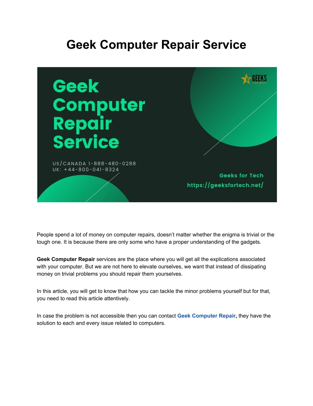 geek computer repair service