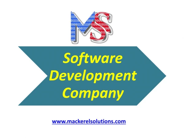 Software development company mackerel solutions