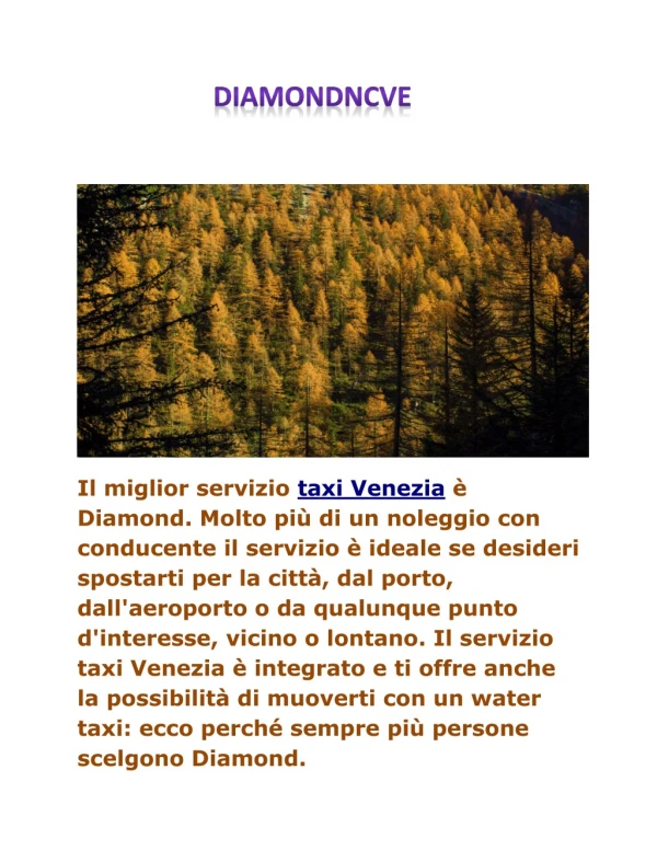 taxi Marghera