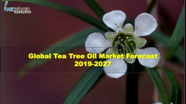 Global Tea Tree Oil Market Forecast 2019-2027- Inkwood Research