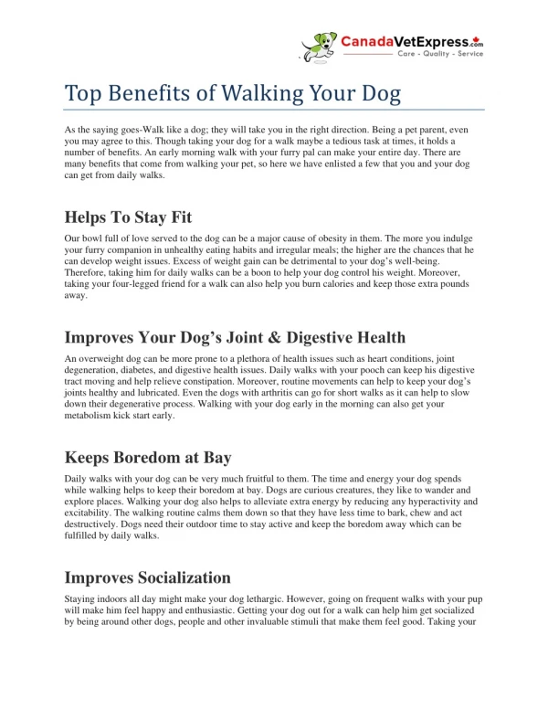 Top Benefits of Walking Your Dog