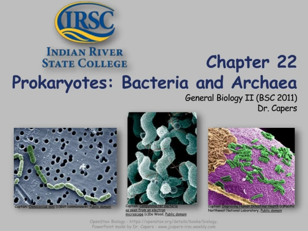 Chapter 22 Prokaryotes: Bacteria and Archaea General Biology II (BSC 2011 ) Dr. Capers