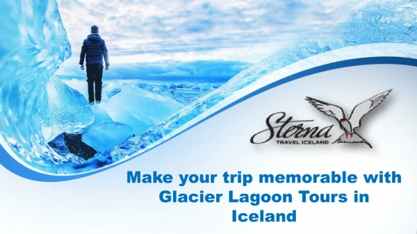 Make your trip memorable with Glacier Lagoon Tours in Iceland