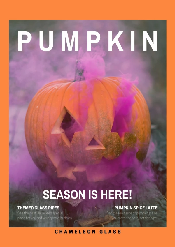 Pumpkin Season Is Here!