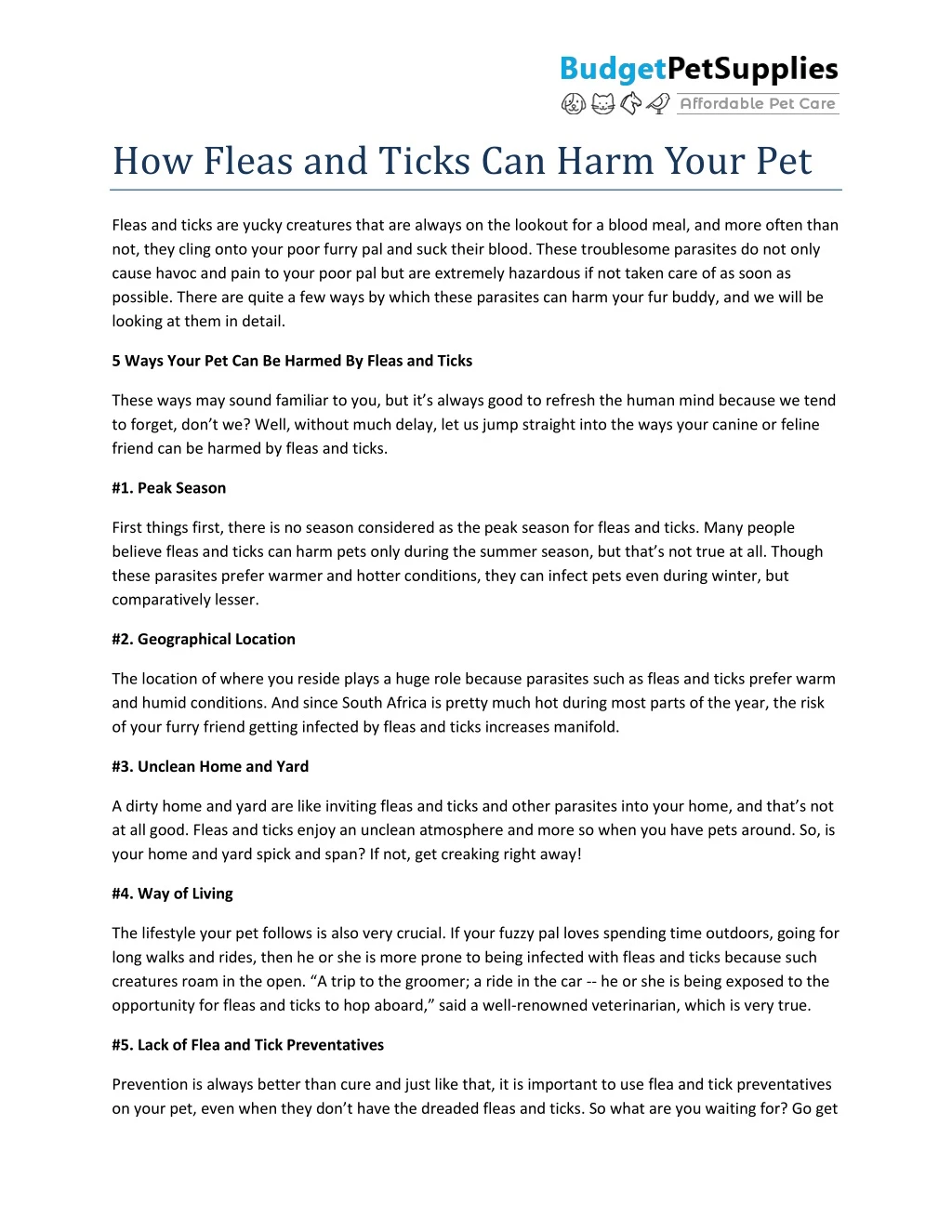 how fleas and ticks can harm your pet