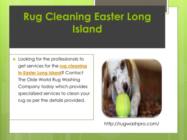 Rug Cleaning Eastern Long Island